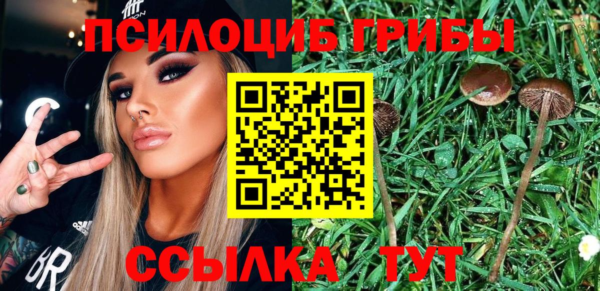 Галлюциногенные грибы прущие грибы Каменск-Шахтинский